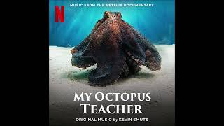 My Octopus Teacher  Music from the Netflix Documentary [upl. by Rowell]