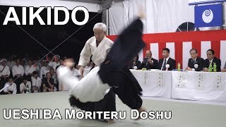 UESHIBA Moriteru Doshu  Aikido 74th Japan National Sports Festival Iwama 2019 [upl. by Nabroc]