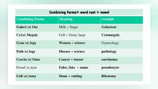 المحاضره الاولى من منهج المصطلحات الطبيه Medical terminology lec 1 [upl. by Aedni]