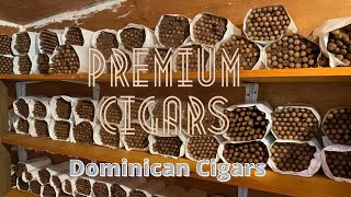 The Making of Premium Dominican Cigars [upl. by Ocirne]