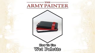 How To Use The Wet Palette [upl. by Oilasor]