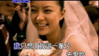 王力宏Forever Love Official Video Karaoke [upl. by Iives]