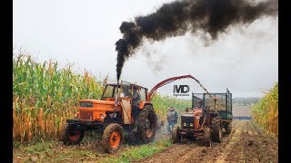 Ensilage à lancienne  Chaulieu 2018 [upl. by Enida]