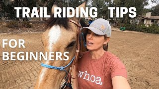 HORSE TRAIL RIDING TIPS Horse trail riding for beginners [upl. by Aradnahc]