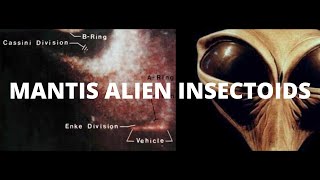 Mantis Alien Insectoids  Secret History Ringmakers amp Hybrid Colonization [upl. by Adrahc]