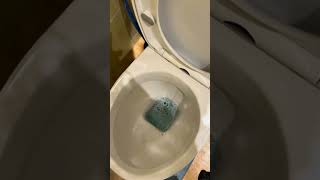 How to unblock a toilet fast cloggeddrain [upl. by Rexfourd]