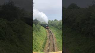 GWR hall class 6990 ‘Witherslack hall’ passing under a bridge just out side watchet station [upl. by Alessig521]