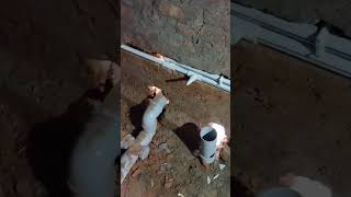 plumber service plumber ka Kam karne Ka Tarikaplumber plumbing mobile number 8340678515 [upl. by Petit]