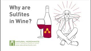 Why are Sulfites in Wine [upl. by Eylsel]