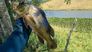 DIRETO DA BARRAGEM GIGANTE TUCUNARE NO SACO [upl. by Nnaer]