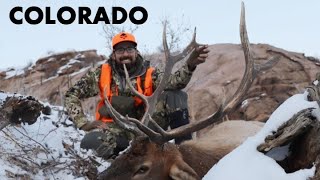 COLORADO ELK HUNT [upl. by Ariela]