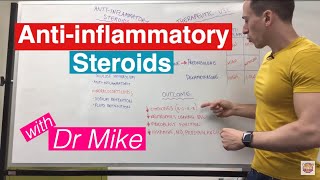 Antiinflammatory Steroids [upl. by Winshell883]