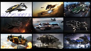 STAR CITIZEN  MY FLEET AND THE REASONS BEHIND IT 3 [upl. by Yroc254]