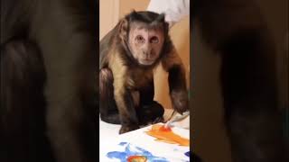 Monkey painting fun monkey painting art fun shorts [upl. by Dieterich]