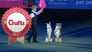 Mary Rays Heelwork To Music Routine at Crufts 2017 [upl. by Niuqram305]