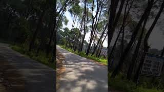 Wishing a beautiful day for you automobile vespalove tatamotors travel vespalife motovlog [upl. by Cynera]