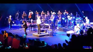 David Rodigan 40th anniversary gig live at the Royal Albert Hall [upl. by Ecnar]