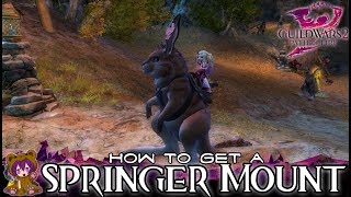 Guild Wars 2  How to get a Springer Mount [upl. by Slyke]