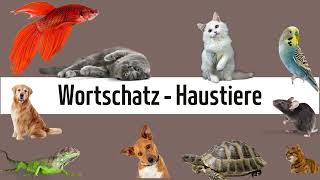 Deutsch lernen  Wortschatz Haustiere [upl. by Attenyw136]