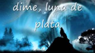 lyrics hijo de la luna [upl. by Harutek454]