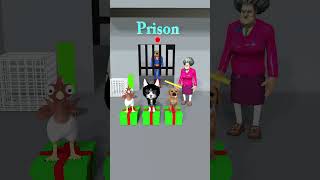 Chicken Cat cute Vs poor Dog Which animal can rescue Superman Dog from prison cat dog [upl. by Azriel]