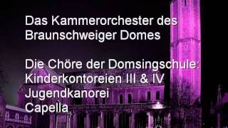 Braunschweiger Dom  Die Geburt Christi  Erklärungen und Information  Teil 4  Orgelkonzert [upl. by Ocin]