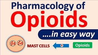 Pharmacology of Opioids in easy way [upl. by Rozanna]