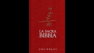 Introduzione elementare alla Bibbia capitoli e versetti come trovarli [upl. by Solberg]