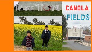 OUR VISIT TO LEETON AND THE CANOLA FIELDS IN RIVERINA NEW SOUTH WALES [upl. by Mariko]