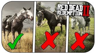 How to get the MISSOURI FOX TROTTER FASTEST Horse In RED DEAD REDEMPTION 2 [upl. by Aicnatsnoc642]