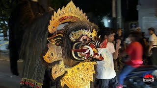 Barong Bangkung Swara Perdana Ngelawang Galungan September 2024  Tenampilan Baru [upl. by Niryt]