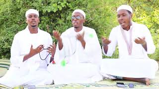 Qasiido cusub oo nabi amaan ah iyo cod aad umacaan abwaan Bisle [upl. by Neeka]