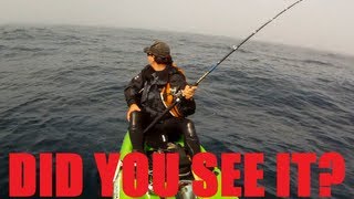 Mystery Ocean Creature Caught on GoPro While Kayak Fishing and still Unidentified [upl. by Romaine]