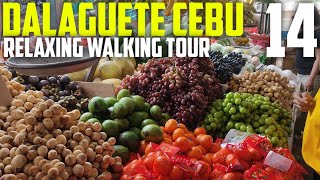 DALAGUETE CEBU  RELAXING WALKING TOUR [upl. by Aneliram277]