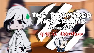 The Promised Neverland react to YN as Arlecchino  GachaClub  Read Description [upl. by Namhar956]