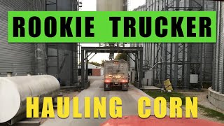 Hauling Corn to Grain Elevator  Rookie Truck Driver 2019 [upl. by Maggs483]