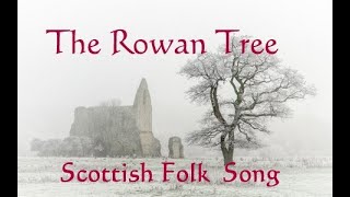 THE ROWAN TREE  Scottish Folk song [upl. by Davis950]