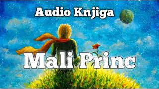 Mali Princ Audio Knjiga [upl. by Ashling]