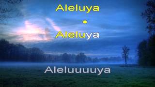 Aleluya  hallelujah  Pista Cristiana Español  KARAOKE [upl. by Bakerman334]