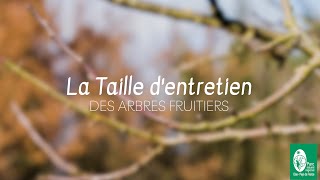 3 TAILLE DENTRETIEN  Tutoriel [upl. by Leay]