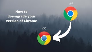 How to downgrade your version of Chrome [upl. by Steiner]