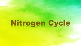 Nitrogen Cycle Nitrogen Fixation Nitrification Assimilation Ammonification and Denitrification [upl. by Leeanne]