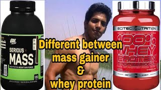 Mass gainer Vs whey protein  which is better [upl. by Filemon]