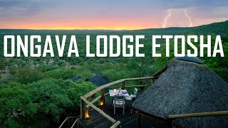 ONGAVA LODGE ETOSHA NATIONAL PARK NORTHERN NAMIBIA  ОНГАВА ЛОДЖ ПАРК ЭТОША СЕВЕРНАЯ НАМИБИЯ [upl. by Randolf]