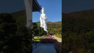 TSz Shan monastery Taipo 我的爱情故事 [upl. by Nyvrem311]