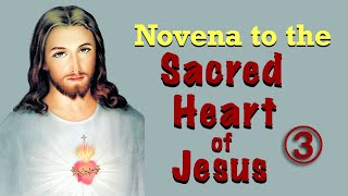 Novena to the Sacred Heart of Jesus  Day 3 [upl. by Aitercul]