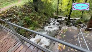 Todtnau Waterfall in Black Forest region of Germany [upl. by Noll]