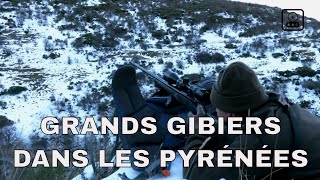 Grands gibiers dans les Pyrénées 4K [upl. by Gavini328]