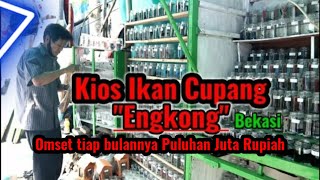 BELANJA IKAN CUPANG SEPUASNYA DIKIOS ENGKONG BEKASI [upl. by Noslen]