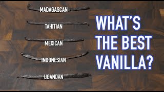 Madagascar Mexican French vanilla Tasting 5 types of vanilla beans [upl. by Goldshlag]